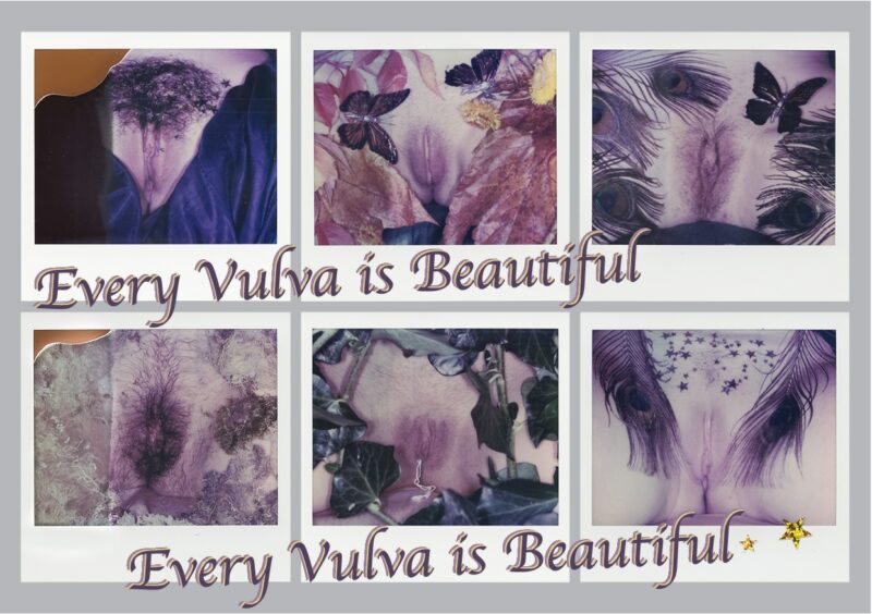 Jede Vulva ist Wunderschön